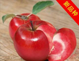 綏中紅色之愛(ài)蘋(píng)果